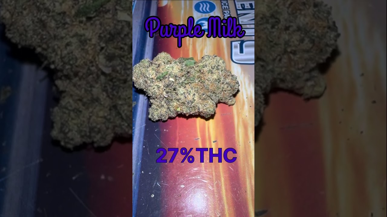 Purple Milk Cannabis Strain 