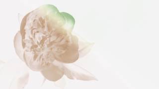 Alina Baraz \u0026 Galimatias - Unfold (Animated Video)