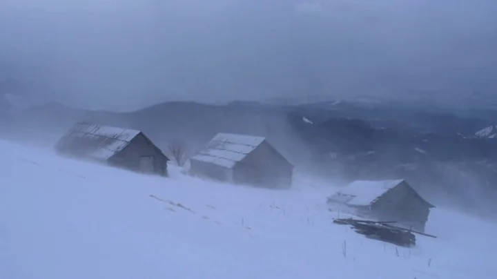 💨 Winter Storm Ambience with Icy Howling Wind Sounds for Sleeping, Relaxing and Studying Background. - DayDayNews