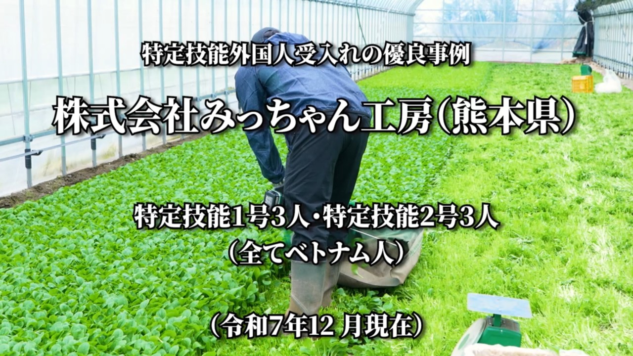 農業分野における特定技能外国人受入れの優良事例：(株)みっちゃん工房