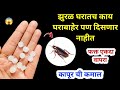       kitchen tips  takau pasun tikau   cockroach killer  marathi