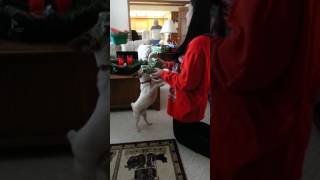 20151225 110945