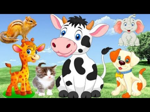 Relax with familiar wild animals Dog, Cat, Cow, Elephant, Deer, Weasel...- Animal sounds part 2