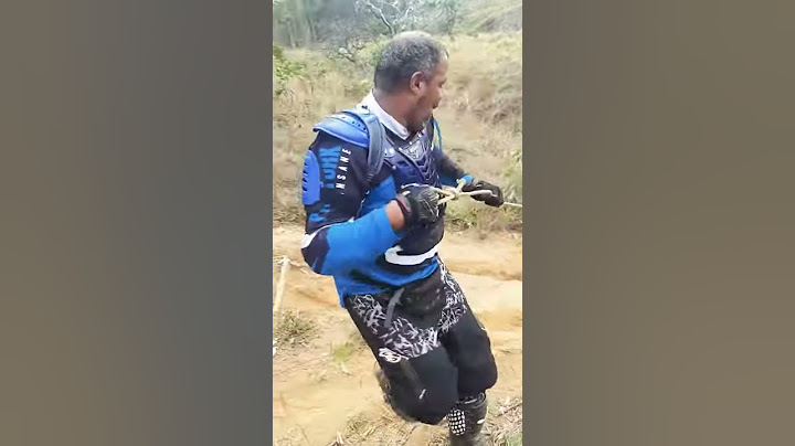 Burro puxando a boiada