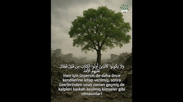 Surah Hadid 16-17   سورة الحديد     #nuralsalam#miqat01#mehmet #المصحف  #القارئ #اكسبلور
