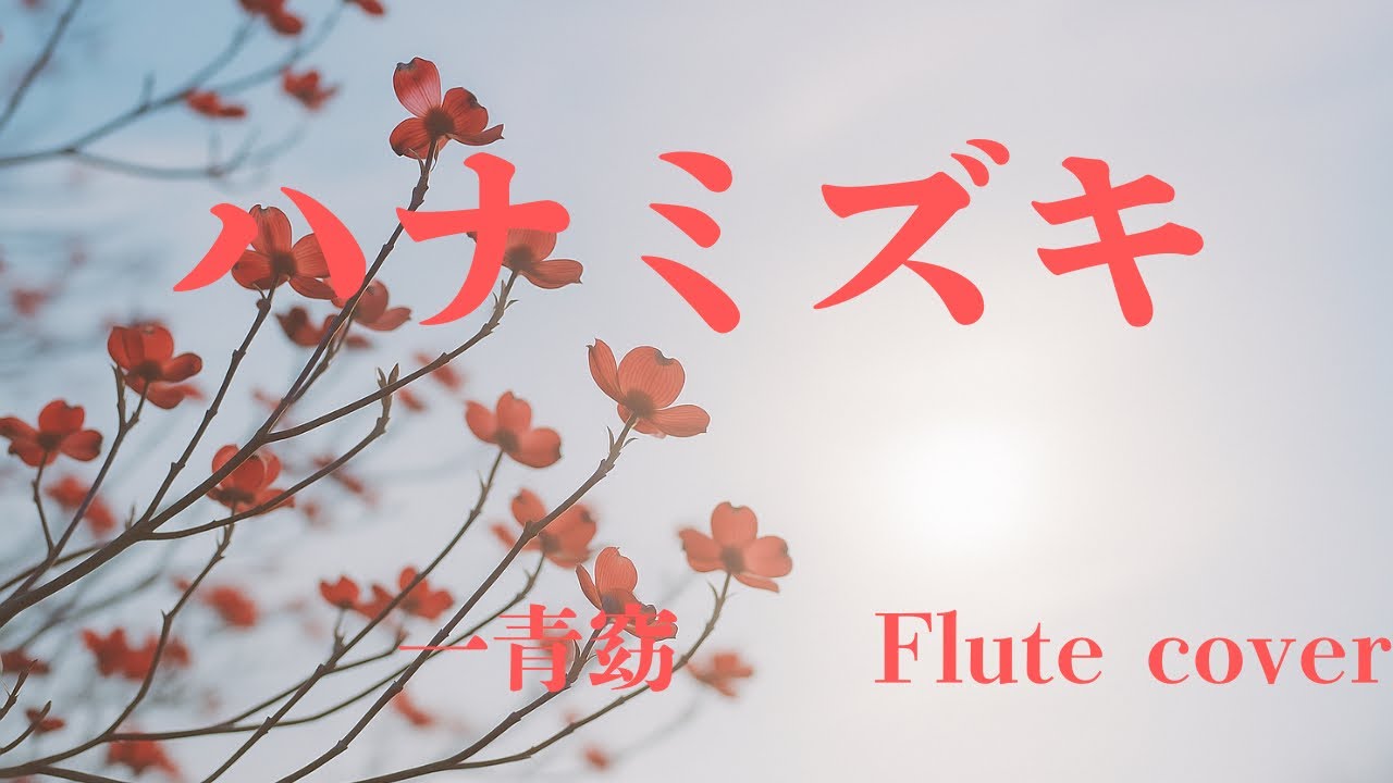 ハナミズキ 〜大切な人へ、愛と平和の祈りを込めて〜【Flute cover｜光のフルート】