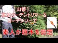 【山善】４WAY 高枝ガーデントリマーセット LPHS-1025