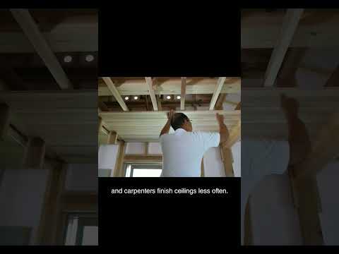 Video: Instalarea de tavane artistice neechitabile de către Takeshi Sano