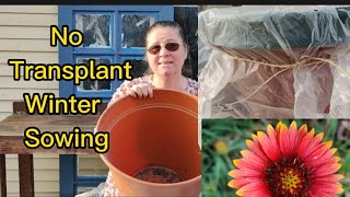 No Transplant Winter Sowing experiment