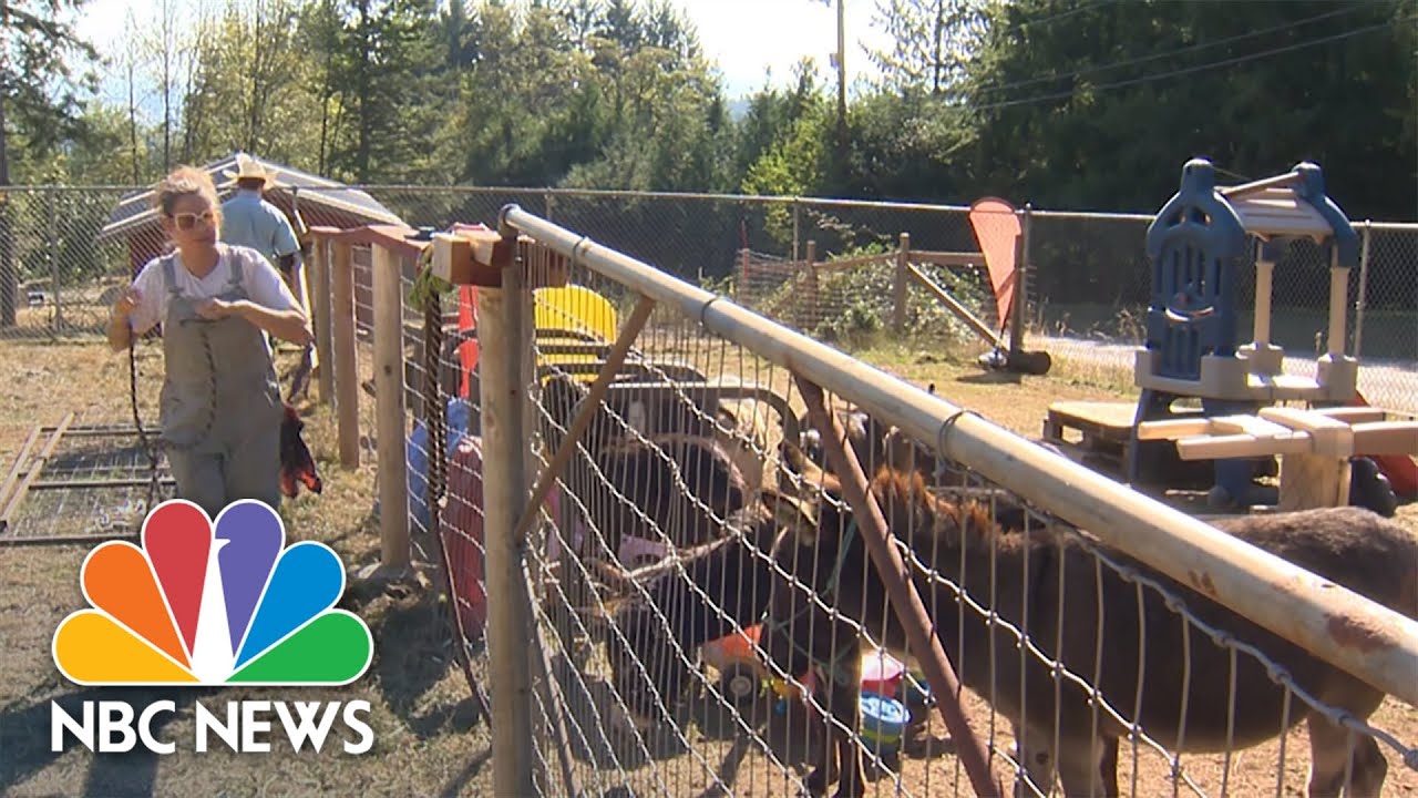 Washington Issues ‘Level 3 Go Now’ Notice To Thousands Of Homes Over Nakia Creek Fire