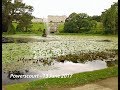 Wingfield family society  powerscourt june 2017