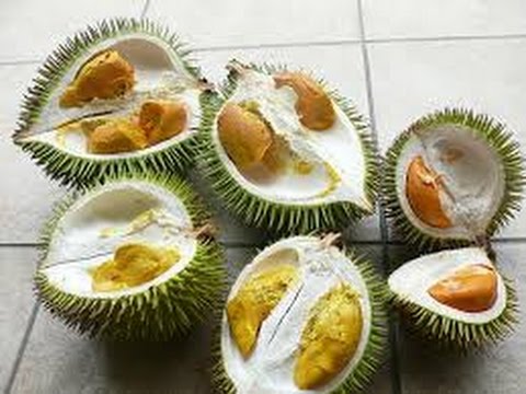 Durian Fruit Philippines Smell Bad But Taste Good - YouTube