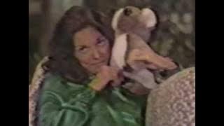 Carpenters - Christmas Song (Chestnuts Roasting On An Open Fire)