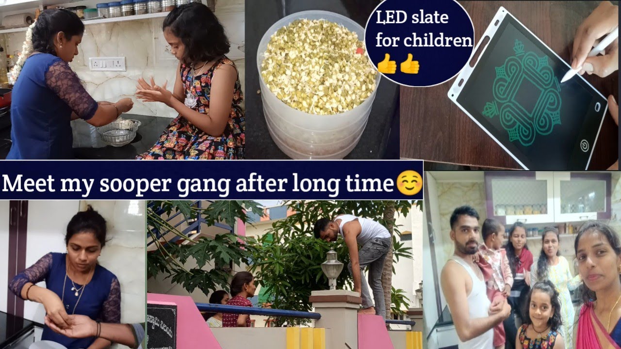LED Slate For Children my Sister s Surprise Visit sprouts Container led-slate-for-children-my-sister-s-surprise-visit-sprouts-container