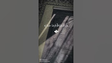 اكتب شيء تؤجر عليه 🤍تلاوة هادئة