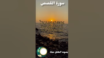 سورة القصص بصوت الطفل معاذ #تلاوة_هادئة #اكسبلور #المصحف #تلاوه #دويتو