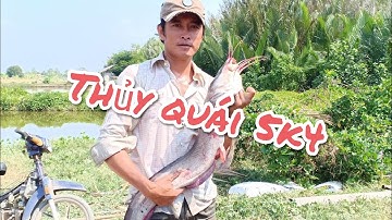 Bắt cá ngát khủng 5k4 trên sông Vàm Cỏ