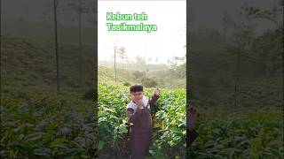 kebun teh #kebunteh #libursekolah #doa #berkahulama #santrikeren #yukberdoa #katamutiara #jabar