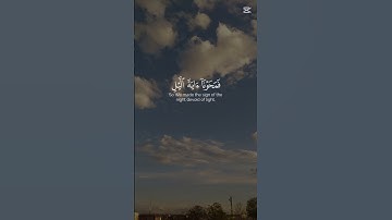 تلاوة خاشعة بصوت القارء ياسر الدوسري #دويتو #اكسبلور #الرحمن #راحة_نفسية