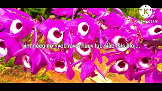 tsis tau deev los cas khuv xim. KRAOKE.tau hu ua si os lawv. suab. kab lia vwj.