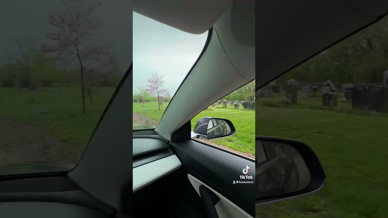 Teslas Can See Ghosts at Cemetery? 