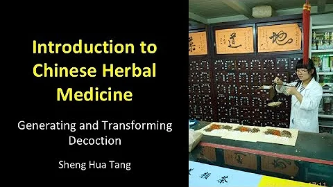 Generating and Transforming Decoction - Sheng Hua ...