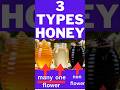 Types of Honey Explained 🍯 | Multifloral vs Unifloral vs Honeydew Honey (Beekeeping Guide)