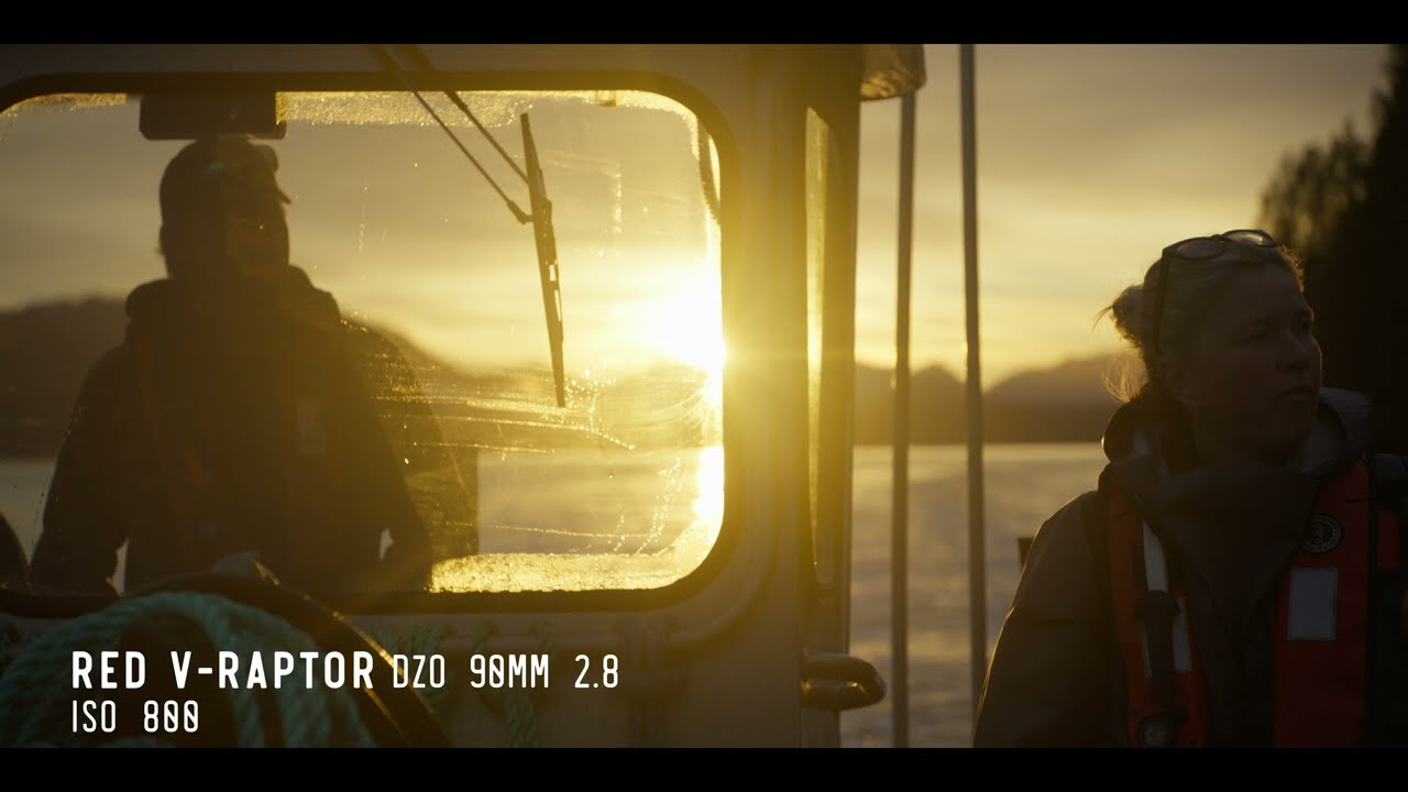 Nikon ZR/RED V-Raptor: Real world comparison