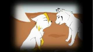 Swiftpaw's Lullaby [50+ Subscribers]