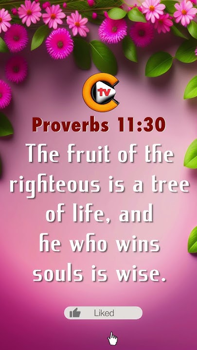 proverbs-chapter-11-verse-30-bible-bibleverse-god-jesus-gospel