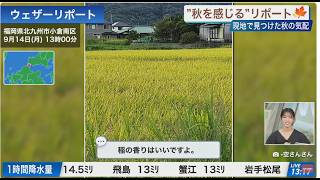 【ライブ配信終了】最新天気ニュース・地震情報 2026年9月14日(月) /秋雨前線の影響で広く雨 雷雨に注意〈ウェザーニュースLiVEコーヒータイム・松本真央／有賀哲夫〉