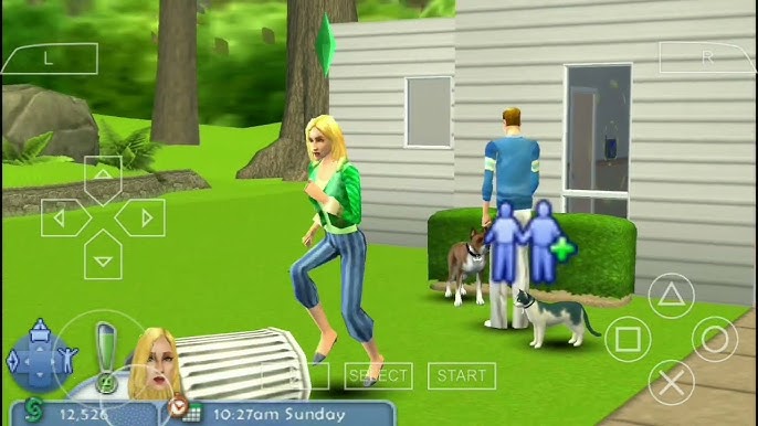 PSP/ PPSSPP SIMS 2 PETS CHEATS 