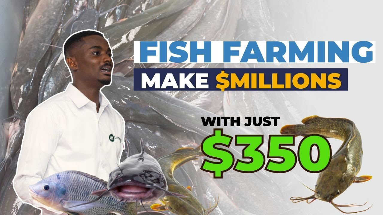 How This Ghanaian Entrepreneur Built 170 Fish Farms From Scratch...
