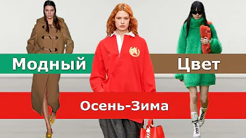 Модный цвет осень 2023 зима 2024 / Тренды Топ-15 палитры одежды