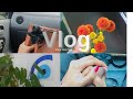 Day vlog as a teacher 📚#aesthetic🌸 |#plants 🌿