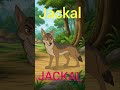 Jackal! J for Jackal #alphabet #learning #preschool #abcteaching #abcdlearning #abcd #kidslearning
