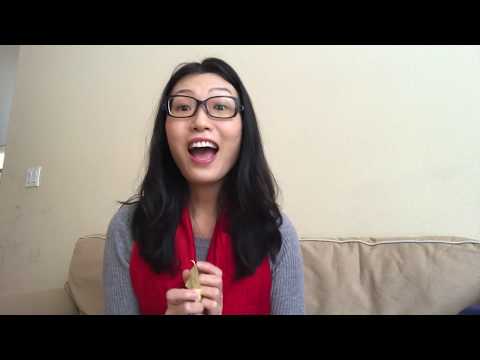 Video: ¿Cuántas páginas tiene la recepción Kelly Yang?