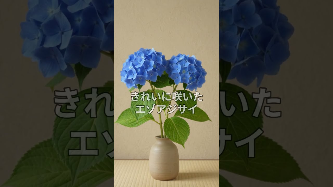 描くほど、植物がもっと見えてくる。アジサイから始める植物画 - YouTube