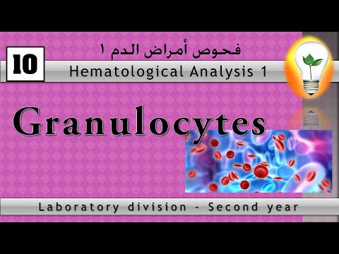 Hematology (10) Granulocytes خلايا الدم البيضاء ج2