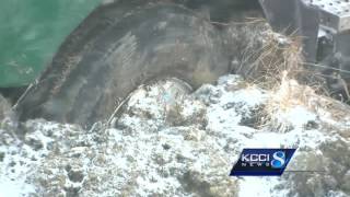 Snow system reducing visibility, blowing snow onto roads