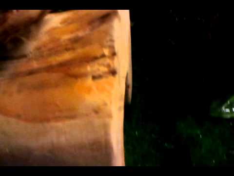 ball python hides ball python hides