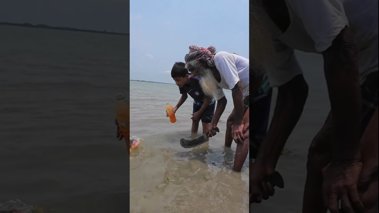 Amazing big fish catching method by traps 05 #fishinglife #fishing