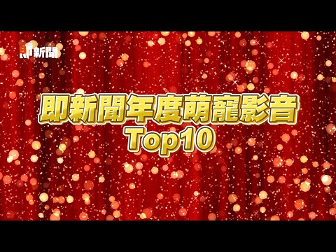 即新聞年度萌寵影音Top10｜寵物動物｜精選影片