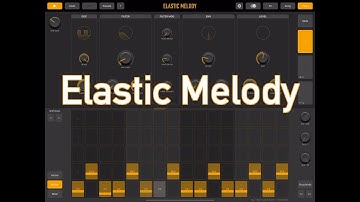 ELASTIC MELODY Release Video