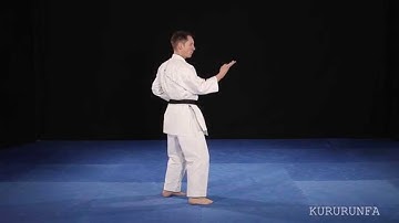 Shito Ryu Shukokai Kururunfa Rear View