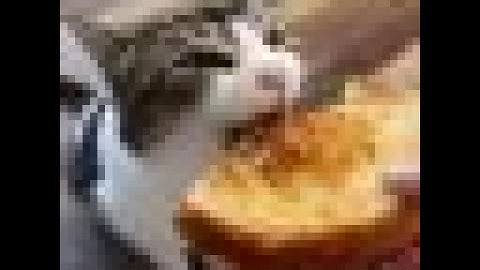 PM 6:06 RE-MULTIVERSED SUBLEVELS 11-20 COMPLETION