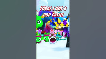 I GOT POP CAT!! IM SO HAPPY!!! #roblox #petsimulator99 #petsim99 #gaming