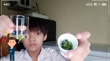 MIXING SOLIDS WITH LIQUIDS - SCIENCE