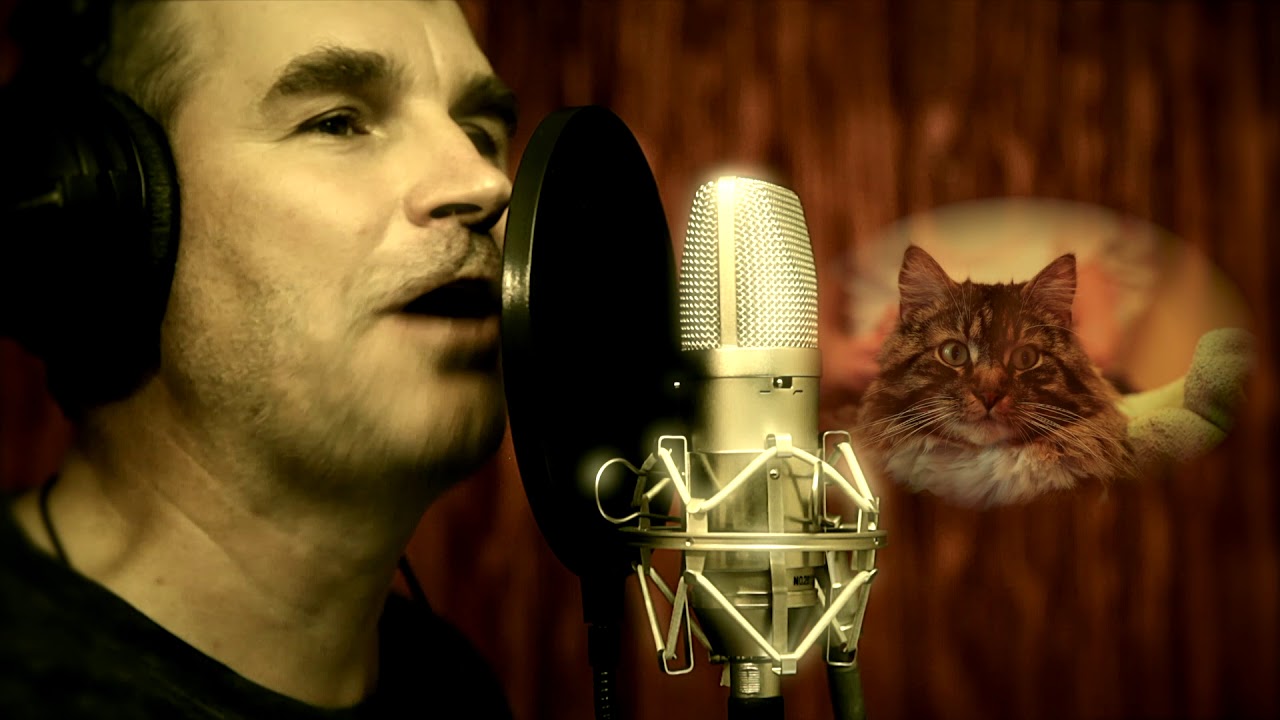 Включи видео песни кота. Милые котики поют. Ютуб котик поют. Зарубежный блогер который поет с котом. Певец России, который похож на пение кота.