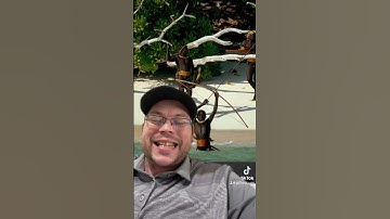 This video got 150k views TikTok talking about worlds most REMOTE tribe. Right to Protect Border ???